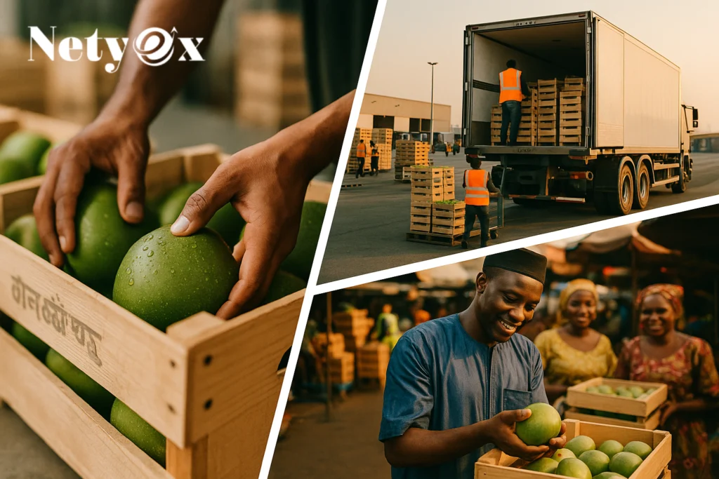 Case Study: Indian Agro Exports to Nigeria