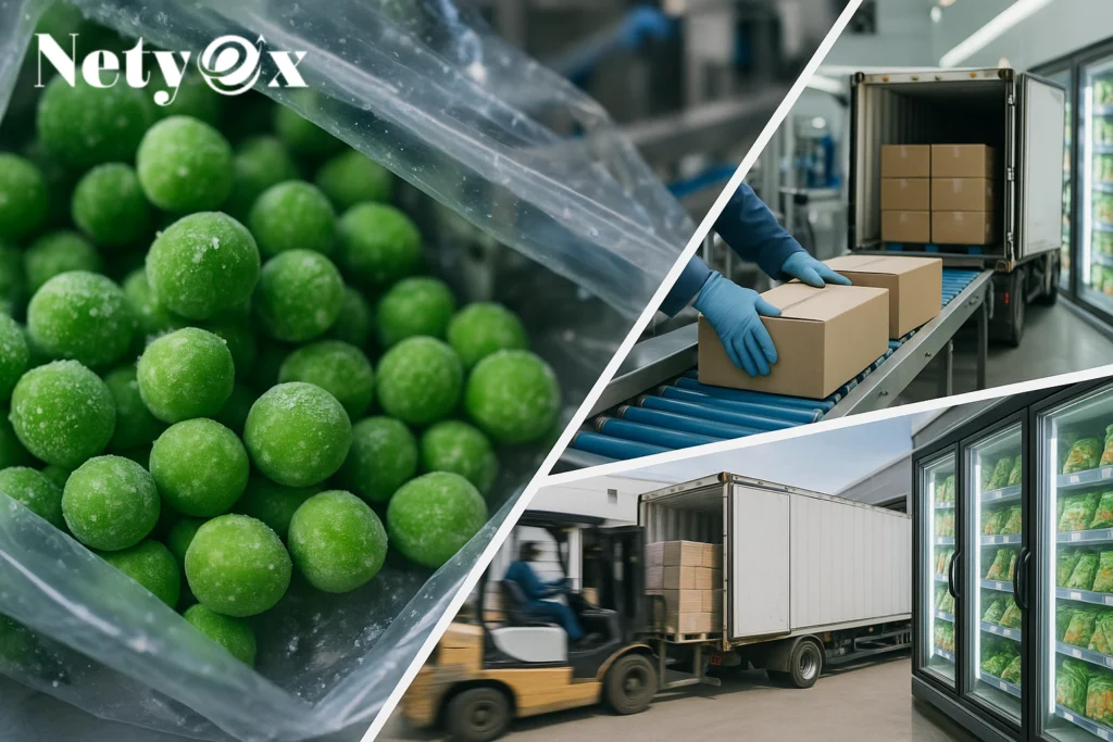 How to Export Frozen Vegetables from India to USA