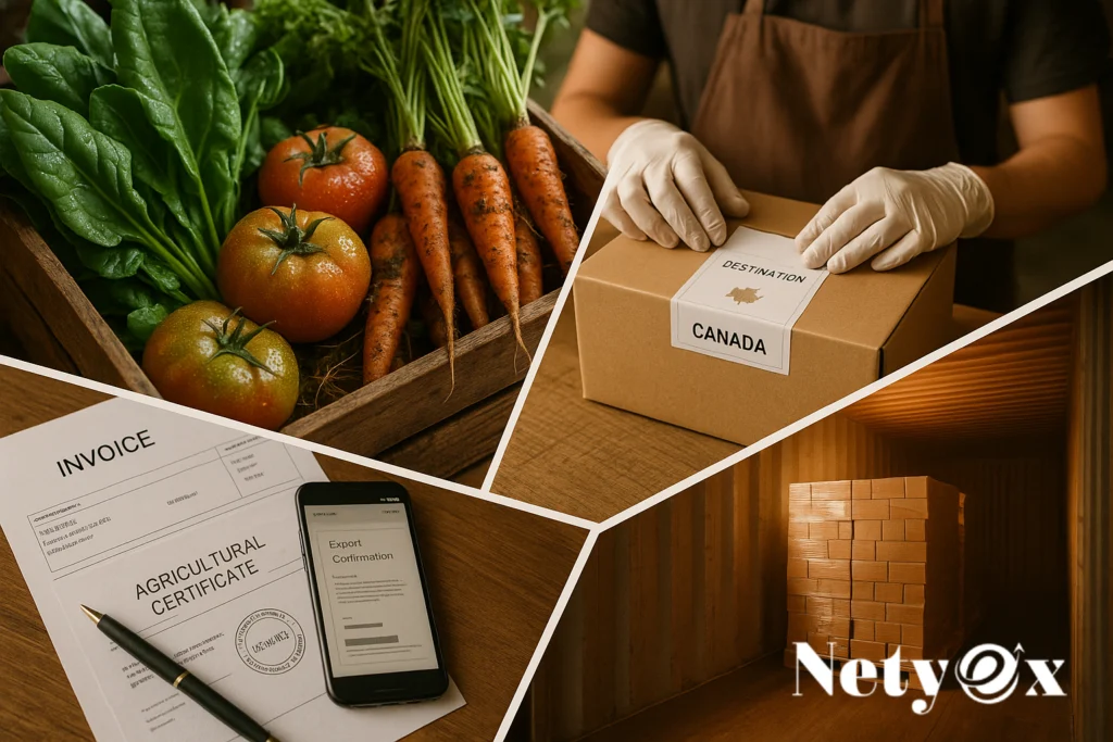 How to Export Organic Vegetables from India to Canada