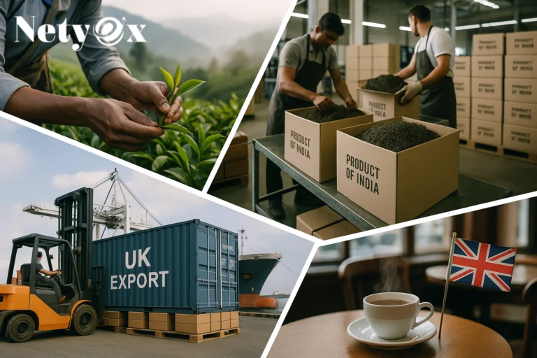 Step-by-Step Guide to Exporting Tea from India to UK