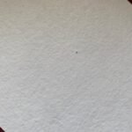 Eco-Friendly Handmade Paper Diaries – Customizable Premium Journals