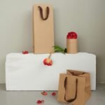 Craft Paper Bags for Gift Packaging