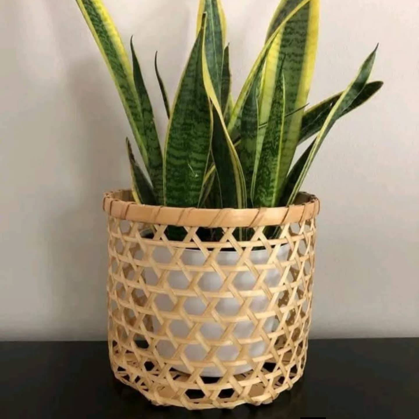 Bamboo Planter Basket (Round)