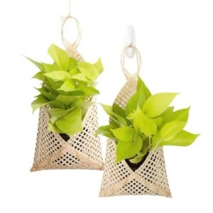 Hanging Bamboo Planter