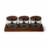 Premium Handcrafted Wooden Spice Jar Set with Tray | Glass Condiment Jars for Dining Table & Kitchen