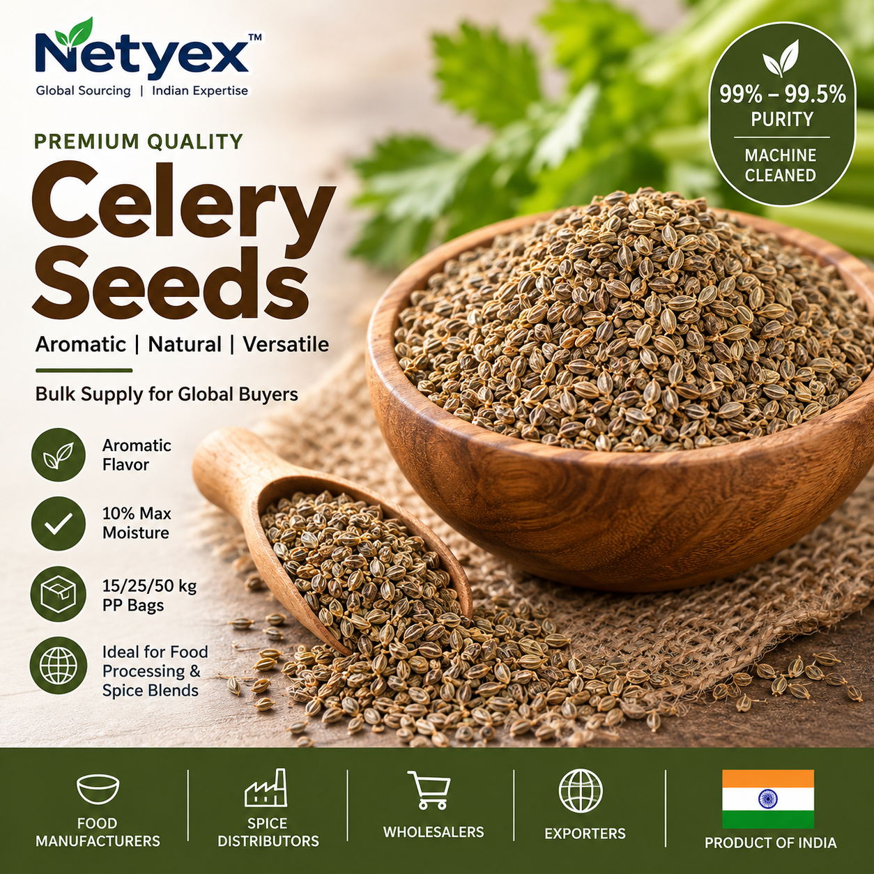 Celery Seeds – Ajwain for Wholesale & Bulk Buyers
