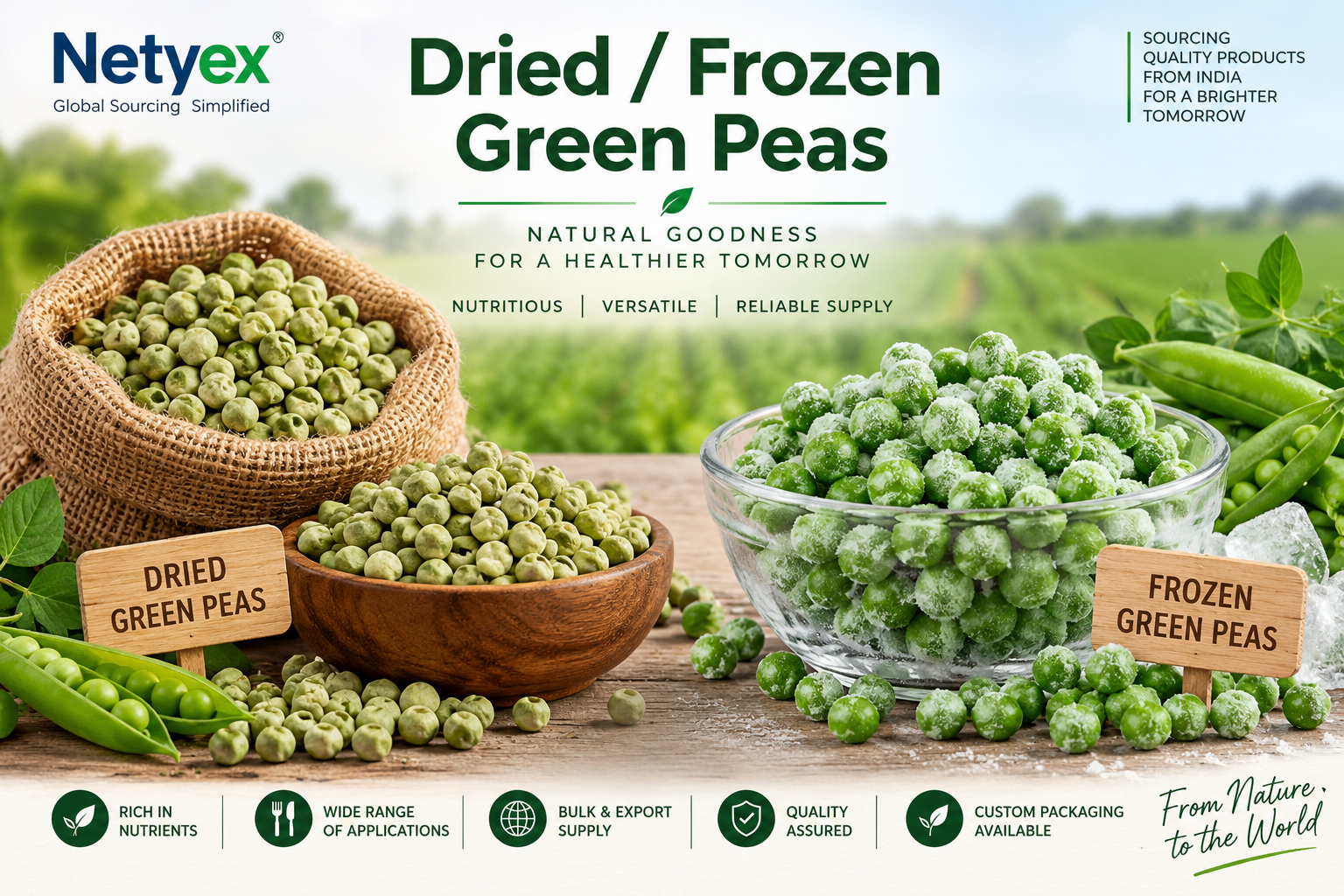 Dried / Frozen Green Peas – Premium Quality Indian Green Peas for Wholesale & B2B Supply