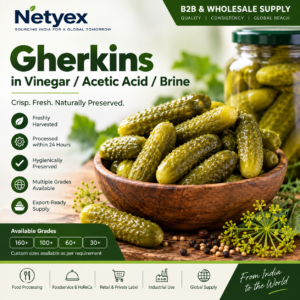 Gherkins in Vinegar Acetic Acid Brine