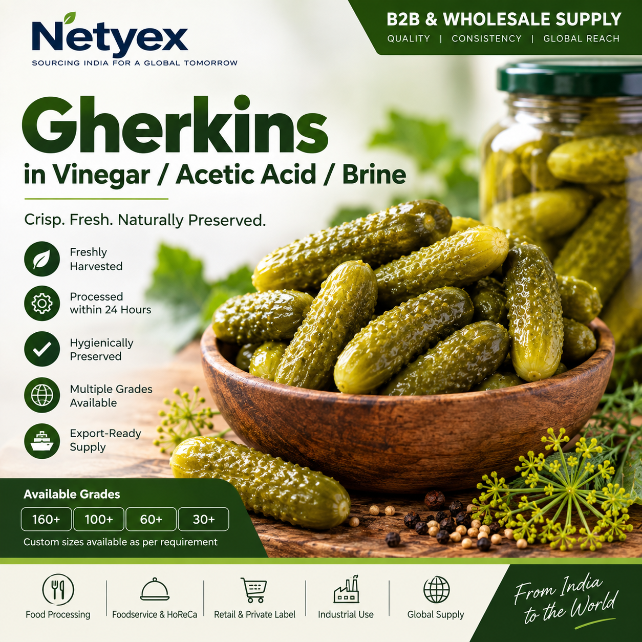 Gherkins in Vinegar / Acetic Acid / Brine