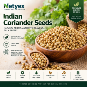 Indian Coriander Seeds – Whole & Split Bulk Wholesale Supply