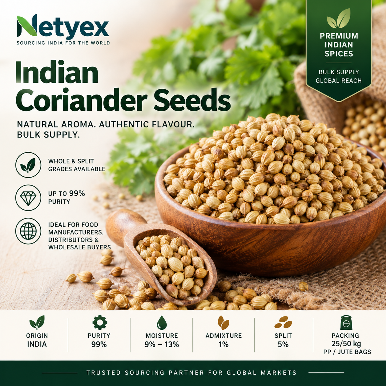 Indian Coriander Seeds – Whole & Split | Bulk Wholesale Supply