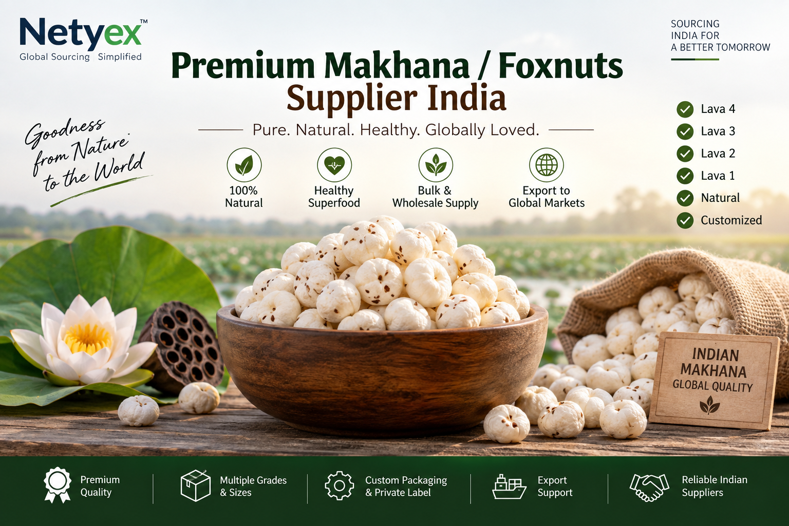 Premium Foxnuts / Makhana – Bulk Wholesale & Export from India