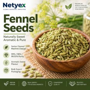 Premium Indian Fennel Seeds for Wholesale & Bulk Buyers