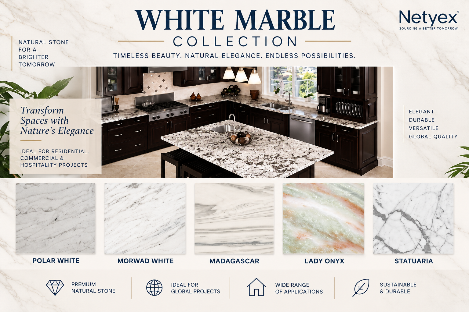 White Marble Collection – Premium Natural Marble for Wholesale & B2B Projects